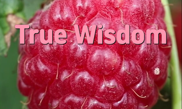 Master Woo Myung – How to Be Wise – True Wisdom