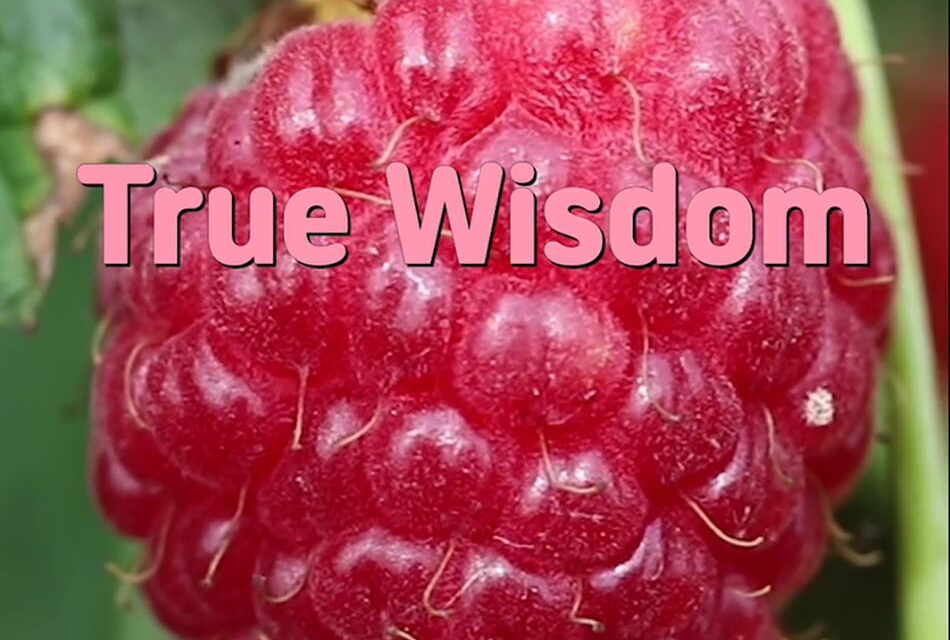 Master Woo Myung – How to Be Wise – True Wisdom