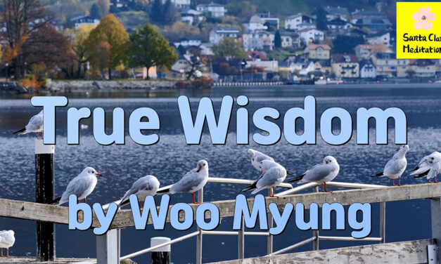 Master Woo Myung – Quote to Awaken – True Wisdom