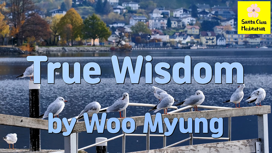 Master Woo Myung – Quote to Awaken – True Wisdom