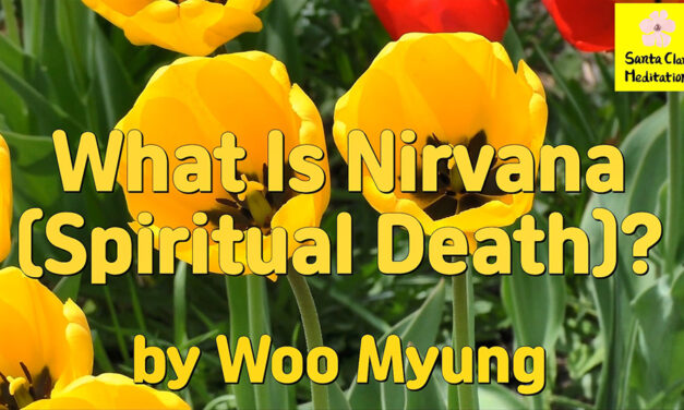 Master Woo Myung – How to Find True Self – What Is Nirvana (Spiritual Death)?