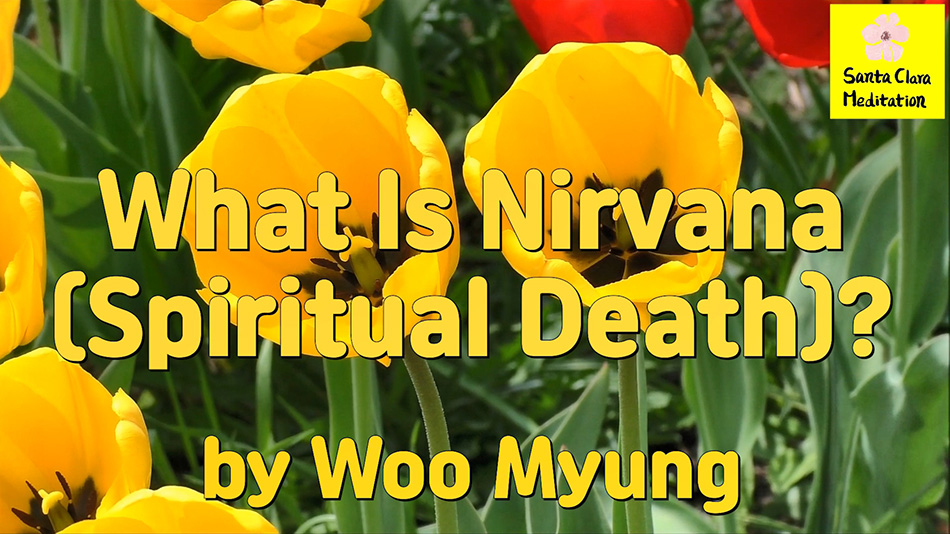 Master Woo Myung – How to Find True Self – What Is Nirvana (Spiritual Death)?