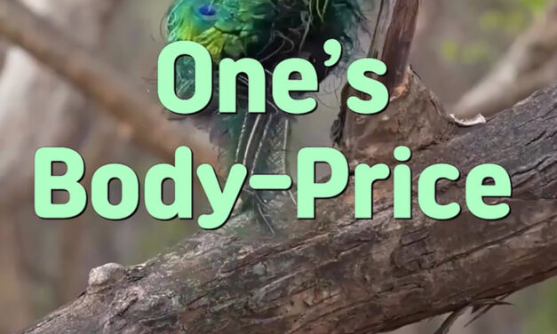 Master Woo Myung – Meditation Poem – One’s Body-Price