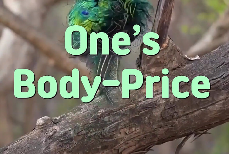 Master Woo Myung – Meditation Poem – One’s Body-Price