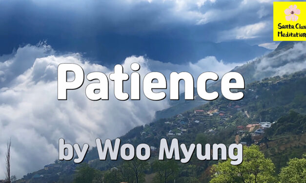 Master Woo Myung – Book – Nature’s Flow – Patience