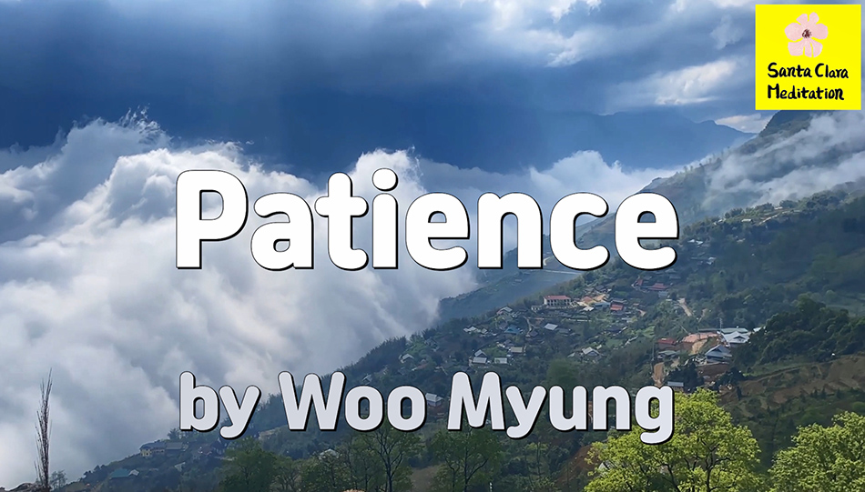 Master Woo Myung – Book – Nature’s Flow – Patience