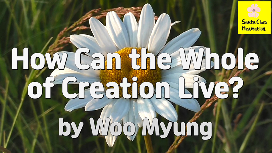 Master Woo Myung – Wisdom Message – How Can the Whole of Creation Live?