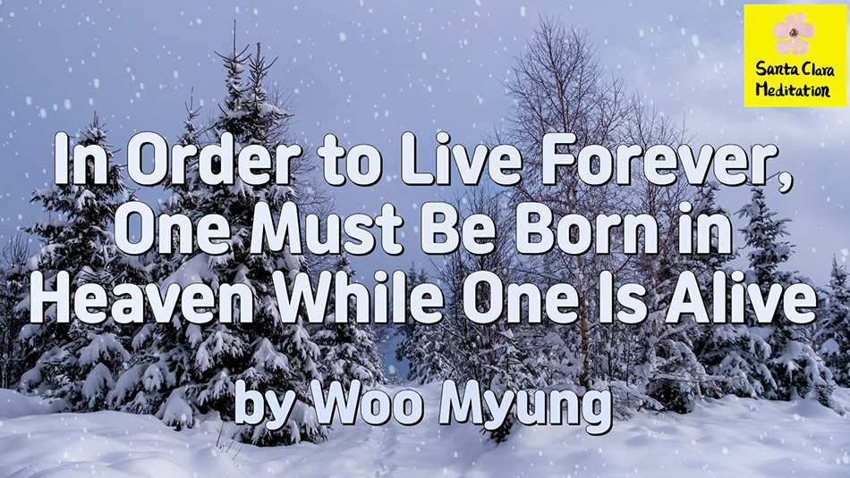 Master Woo Myung – Words – In Order to Live Forever, One Must Be Born in Heaven While One Is Alive