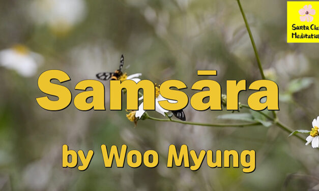 Master Woo Myung – Meditation Poetry – Samsāra