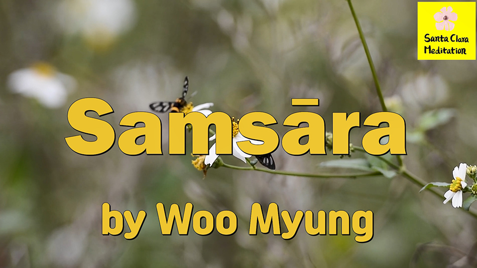 Master Woo Myung – Meditation Poetry – Samsāra