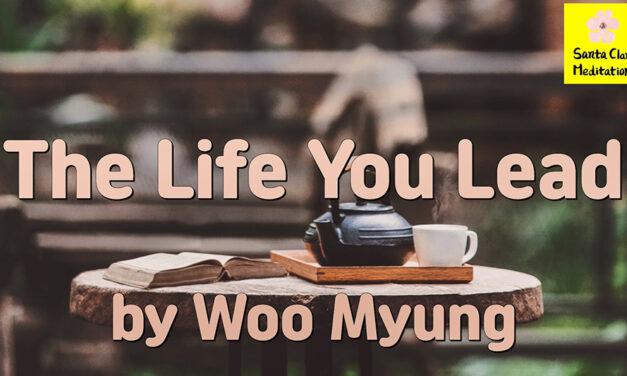 Master Woo Myung – Meaning of Life – The Life You Lead 