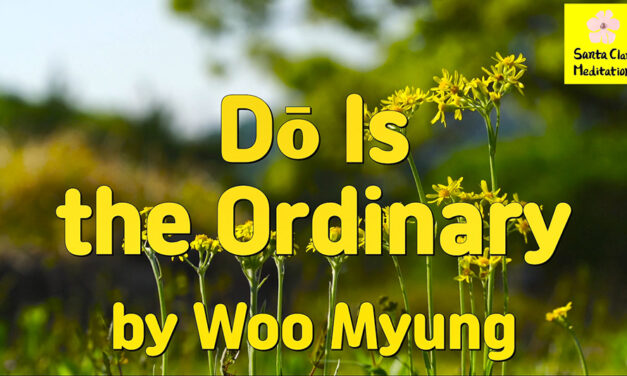 Master Woo Myung – Truth Message – Dō Is the Ordinary