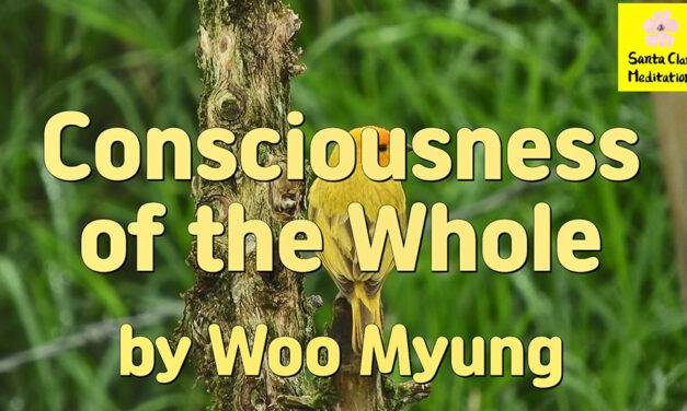 Master Woo Myung – Words to Awaken – Consciousness of the Whole