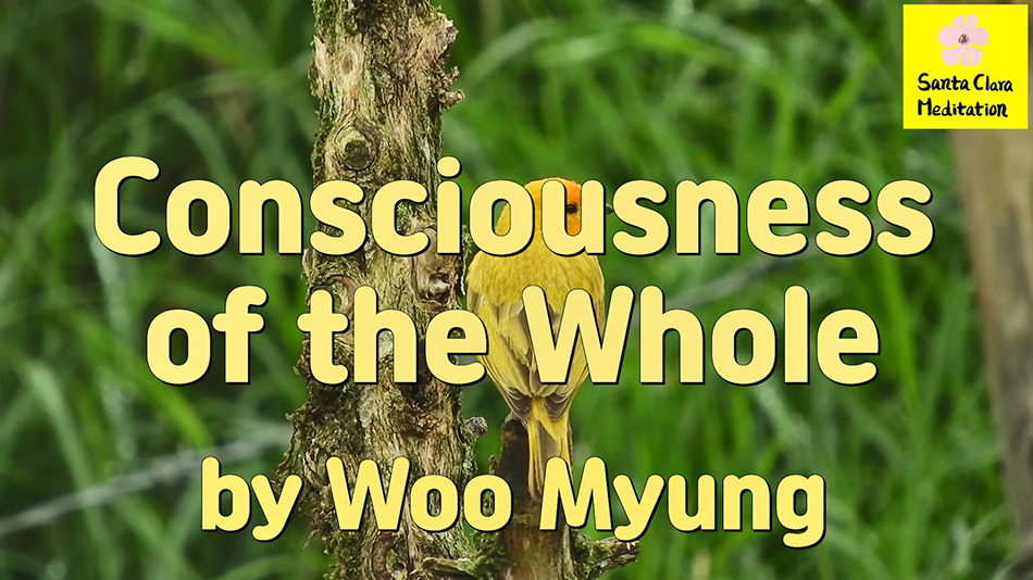 Master Woo Myung – Words to Awaken – Consciousness of the Whole