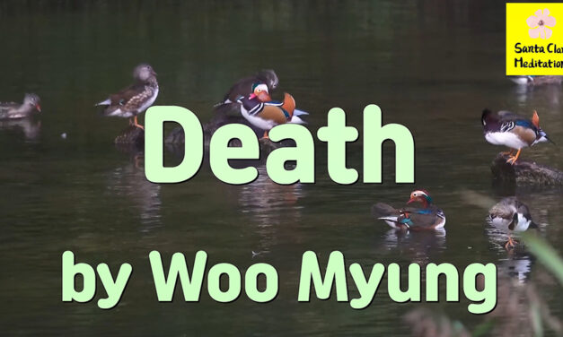 Master Woo Myung – How to Live Forever – Death