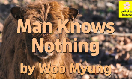 Master Woo Myung – How to Live Together Well – Man Knows Nothing