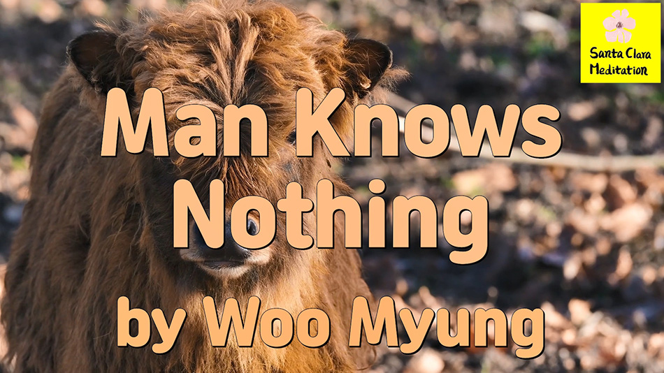 Master Woo Myung – How to Live Together Well – Man Knows Nothing