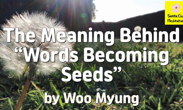 Master Woo Myung – Meditation Pioneer – The Meaning Behind “Words Becoming Seeds”