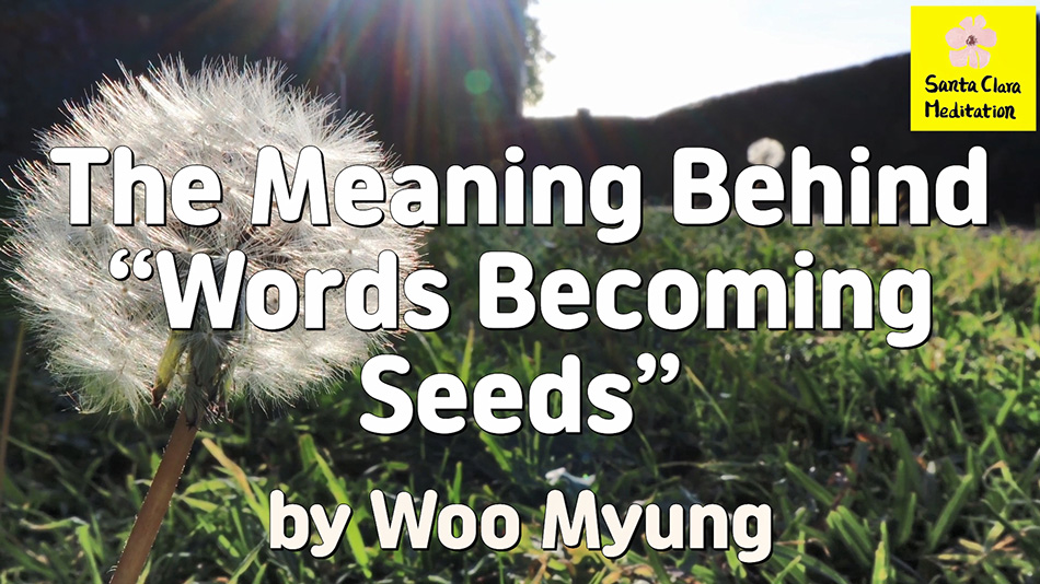 Master Woo Myung – Meditation Pioneer – The Meaning Behind “Words Becoming Seeds”