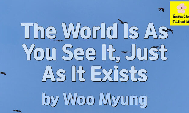 Master Woo Myung – Teachings to Awaken – The World Is As You See It, Just As It Exists