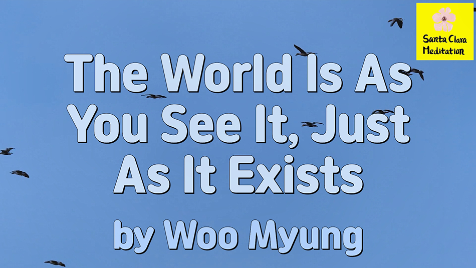 Master Woo Myung – Teachings to Awaken – The World Is As You See It, Just As It Exists