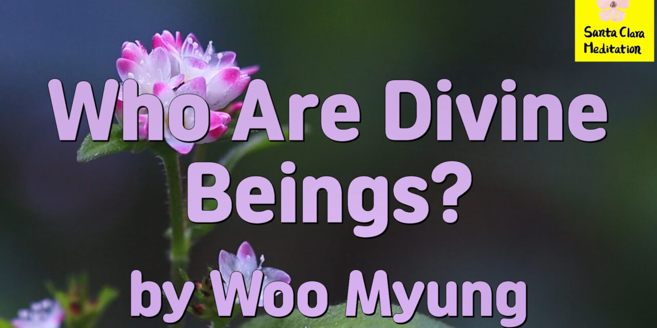 Master Woo Myung – How to Find God – Who Are Divine Beings?