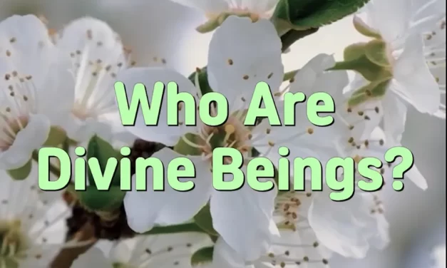 Master Woo Myung – How to Find Allah – Who Are Divine Beings?