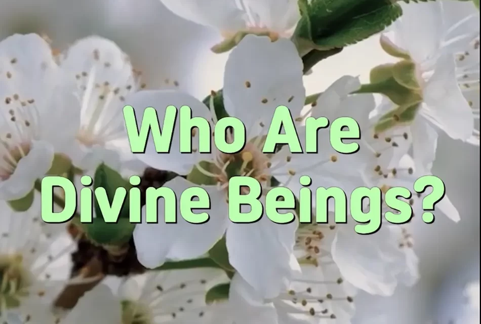 Master Woo Myung – How to Find Allah – Who Are Divine Beings?