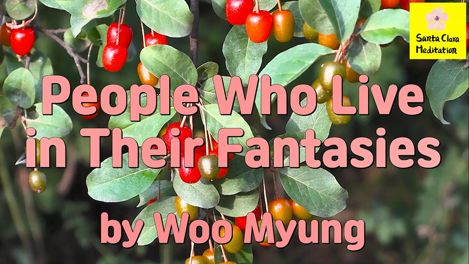 Master Woo Myung – Quote – People Who Live in Their Fantasies