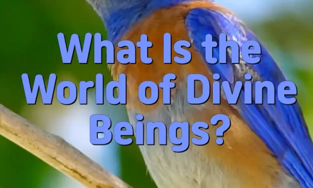 Master Woo Myung – How to Live in Paradise – What Is the World of Divine Beings?