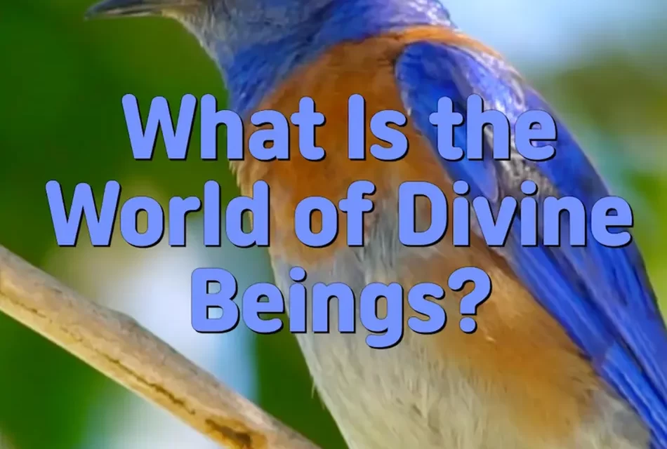 Master Woo Myung – How to Live in Paradise – What Is the World of Divine Beings?