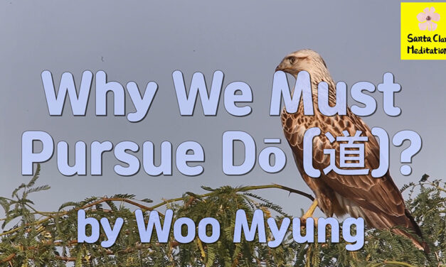 Master Woo Myung – Meaning of Life – Why We Must Pursue Dō (道)?