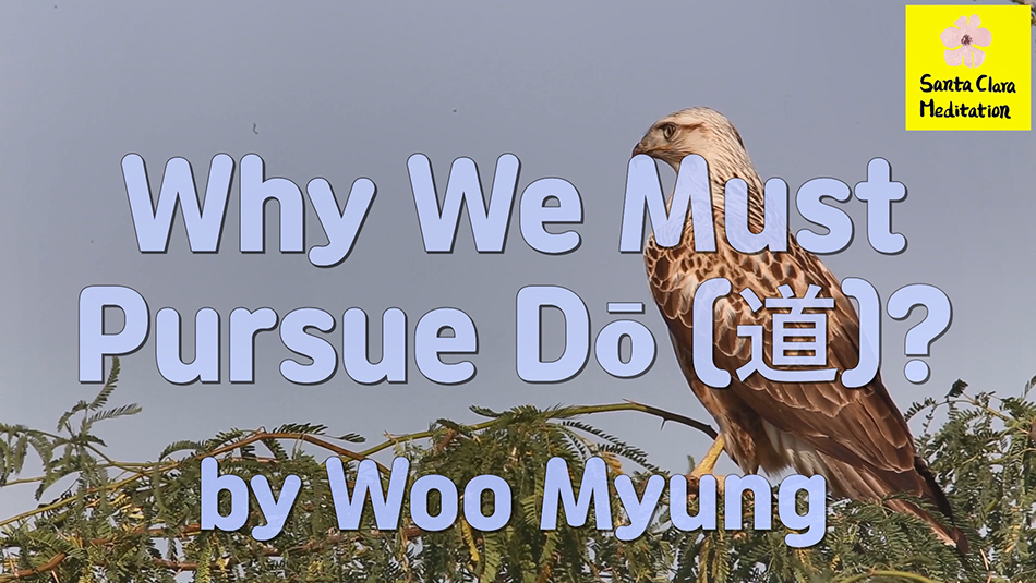 Master Woo Myung – Meaning of Life – Why We Must Pursue Dō (道)?