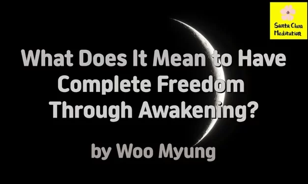 Master Woo Myung – Q&A – What Does It Mean to Have Complete Freedom Through Awakening?