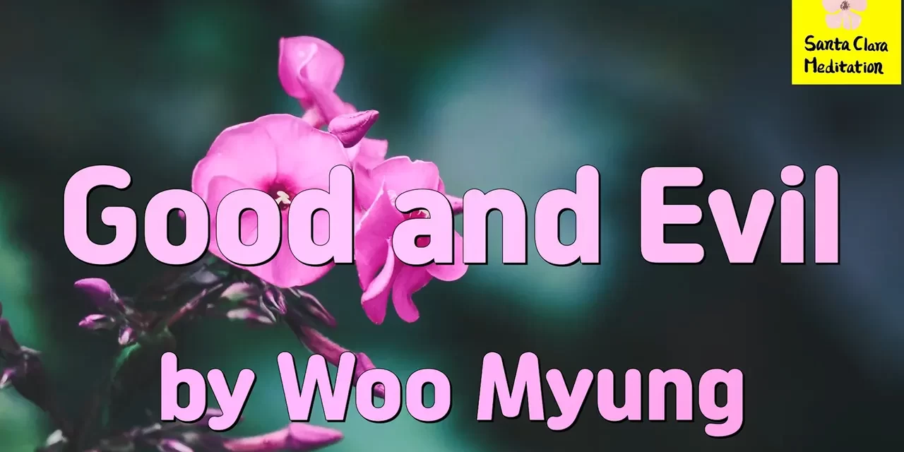 Master Woo Myung – Book – Heaven’s Formula for Saving the World – Good and Evil