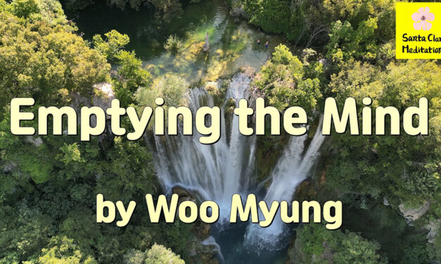 Master Woo Myung – Book – Nature’s Flow – Emptying the Mind