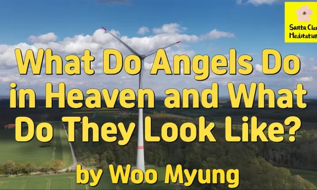 Master Woo Myung – Wisdom’s Answer – What Do Angels Do in Heaven and What Do They Look Like?