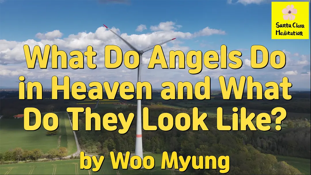 Master Woo Myung – Wisdom’s Answer – What Do Angels Do in Heaven and What Do They Look Like?