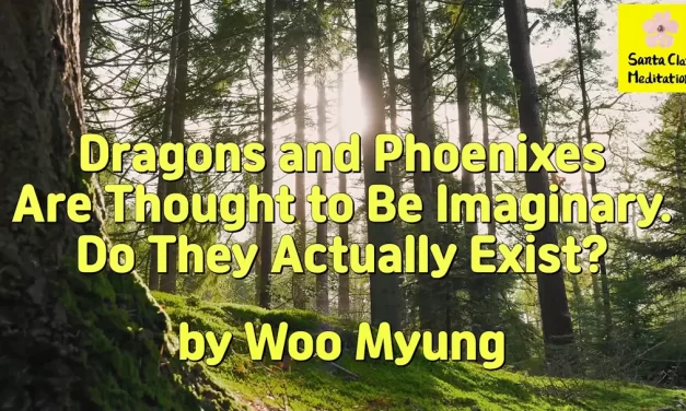 Master Woo Myung – Q&A – Dragons and Phoenixes Are Thought to Be Imaginary. Do They Actually Exist?