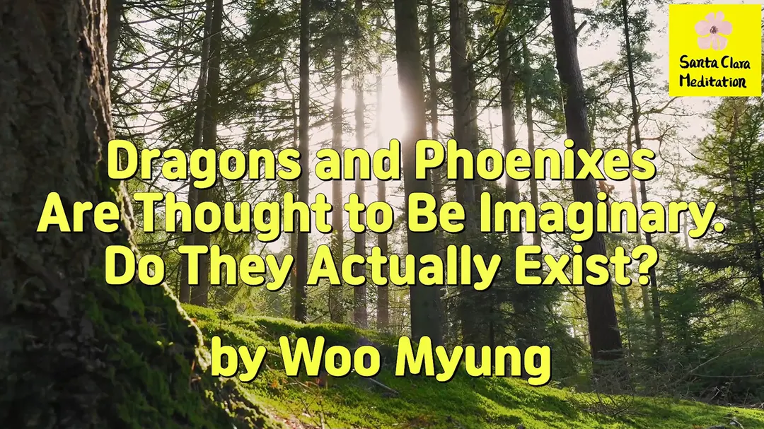 Master Woo Myung – Q&A – Dragons and Phoenixes Are Thought to Be Imaginary. Do They Actually Exist?