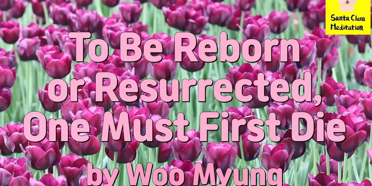 Master Woo Myung – How to Become Truth – To Be Reborn or Resurrected, One Must First Die