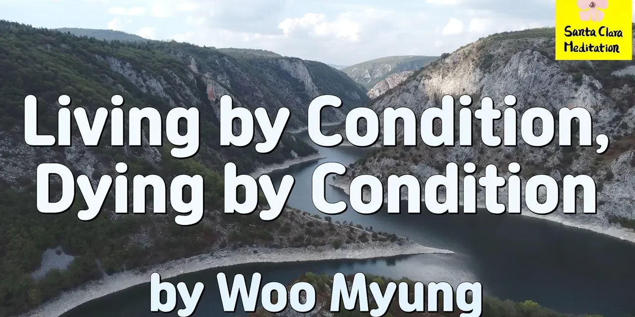 Master Woo Myung – Meditation Quote – Living by Condition, Dying by Condition