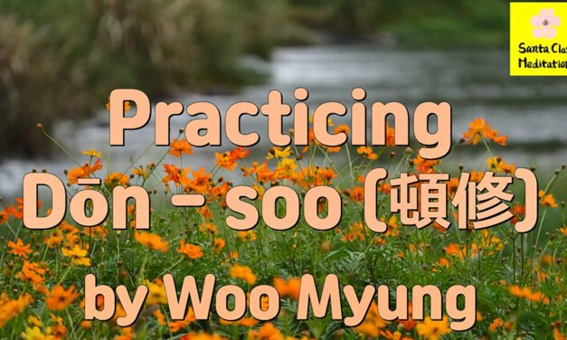 USA Today Bestselling Author Master Woo Myung – Practicing Dōn – soo (頓修)