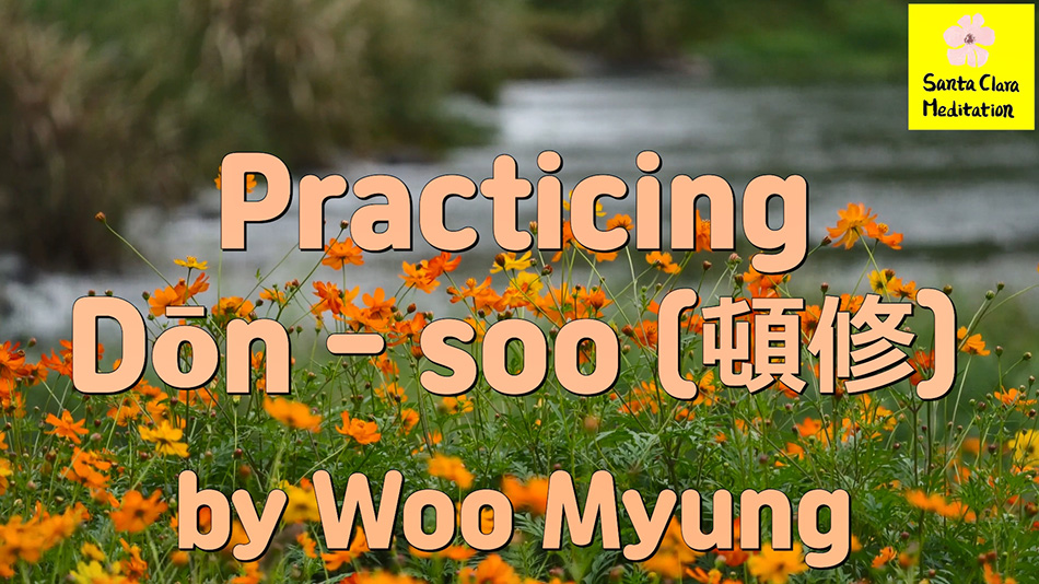 USA Today Bestselling Author Master Woo Myung – Practicing Dōn – soo (頓修)