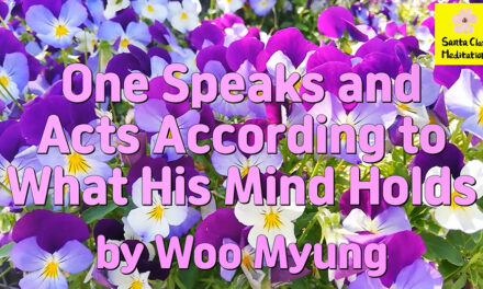 Master Woo Myung – Method to Live Well – One Speaks and Acts According to What His Mind Holds