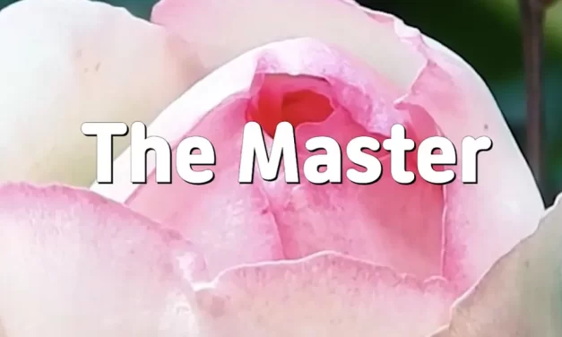 Master Woo Myung – Truth Quote – The Master