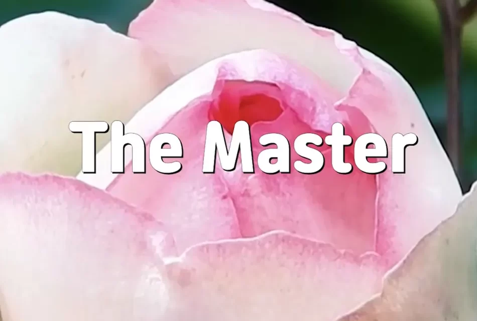 Master Woo Myung – Truth Quote – The Master