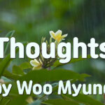 Master Woo Myung – Quote for Enlightenment – Thoughts