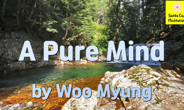 Master Woo Myung – Method to Find Truth – A Pure Mind