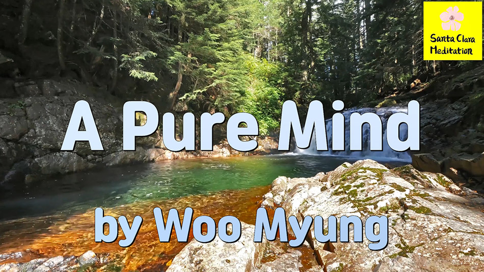 Master Woo Myung – Method to Find Truth – A Pure Mind